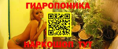 PSILOCYBIN Конаково
