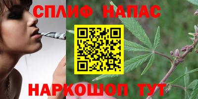 PSILOCYBIN Конаково
