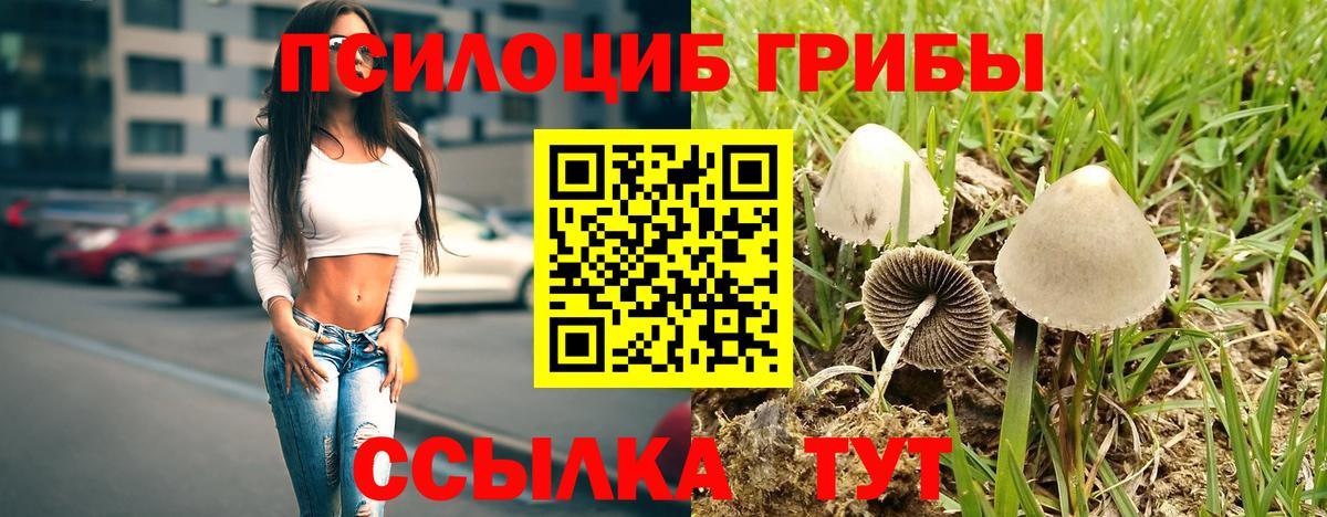 купить наркотики сайты  Галлюциногенные грибы ЛСД  Вход с VPN  Йошкар-Ола 